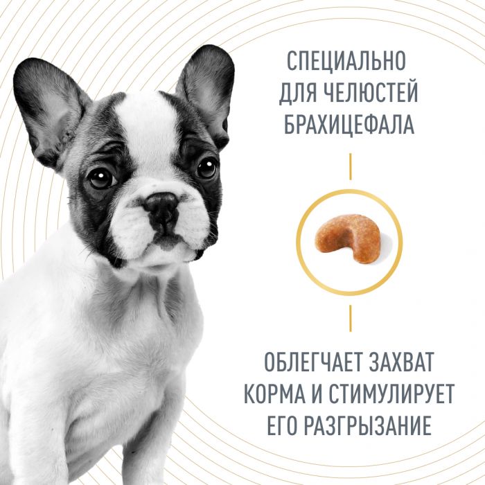 Royal Canin Французский бульдог Щенок Корм ​​сухой для щенков породы Французский Бульдог до 12 месяцев