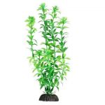 Растение (Laguna) 30см Гемиантус зеленый Растение (Laguna) 30см Гемиантус зеленый