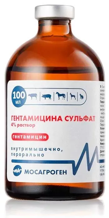 Гентамицин 4% 100мл (БФГ) (70фл) (ЛИЦЕНЗИЯ)