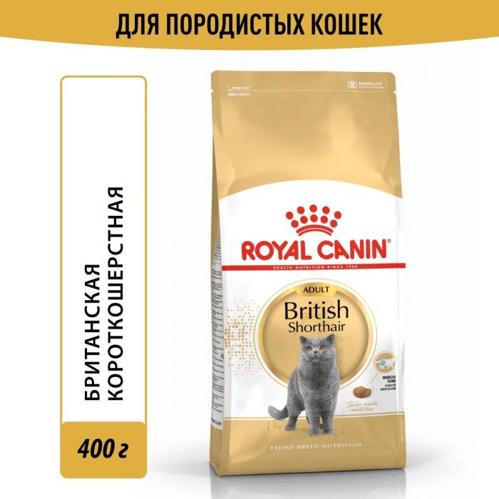 ФБН Британская короткошерстная 10,0кг