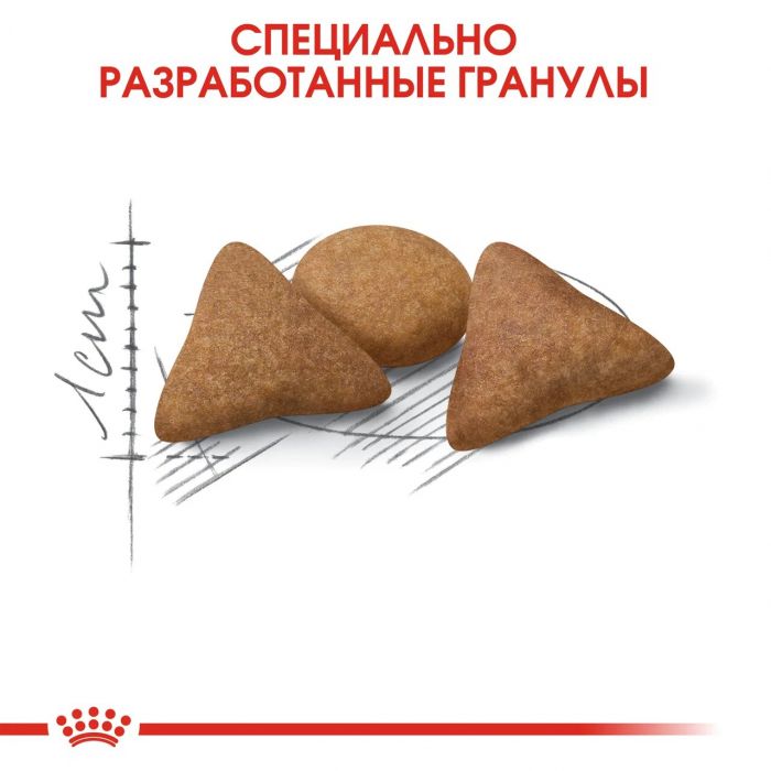 Корм Royal Canin Indoor Appetite Control сухой сбалансированный для взрослых кошек, живущих в помещении 2 кг