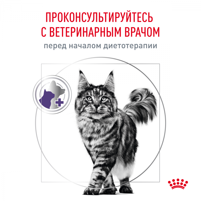 Royal Canin NEATURED SATIETY BALANCE (НЬЮТРИД СЭТАЙЕТИ БЭЛЭНС) Корм ​​сухой полнорационный для кошек - стерилизованных или склонных к набору веса с момента стерилизации до 7 лет 0,3 кг