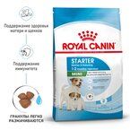 Корм Royal Canin Mini Starter сухой полнорационный для собак мелких пород (до 10 кг) в конце беременности и в период лактации, а также для кормов в период отъема от матери и до 2-х месячного возраста.  8,5 кг