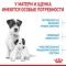 Корм Royal Canin Mini Starter сухой полнорационный для собак мелких пород (до 10 кг) в конце беременности и в период лактации, а также для кормов в период отъема от матери и до 2-х месячного возраста.  3 кг