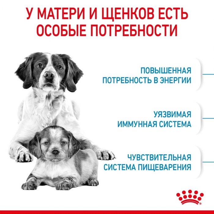 Корм Royal Canin Medium Starter Mother&Babydog для сухого полнорационного для щенков средних размеров в период отъема и до 2 месяцев, для беременных и кормящих сук. 4 кг