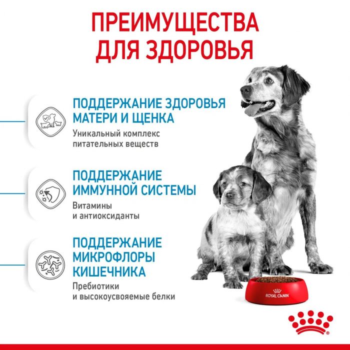 Корм Royal Canin Medium Starter Mother&Babydog для сухого полнорационного для щенков средних размеров в период отъема и до 2 месяцев, для беременных и кормящих сук. 4 кг