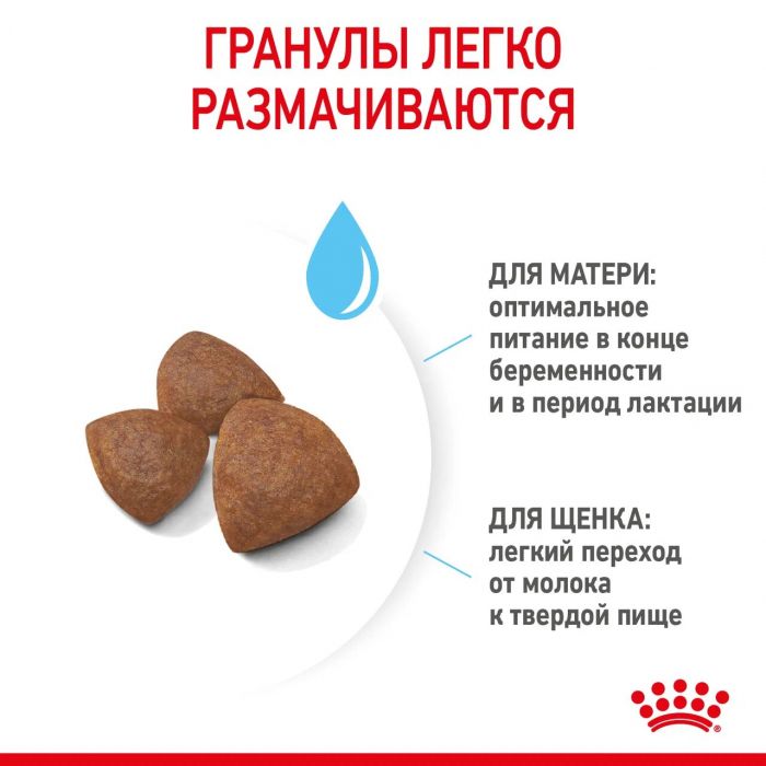 Корм Royal Canin Medium Starter Mother&Babydog для сухого полнорационного для щенков средних размеров в период отъема и до 2 месяцев, для беременных и кормящих сук. 4 кг