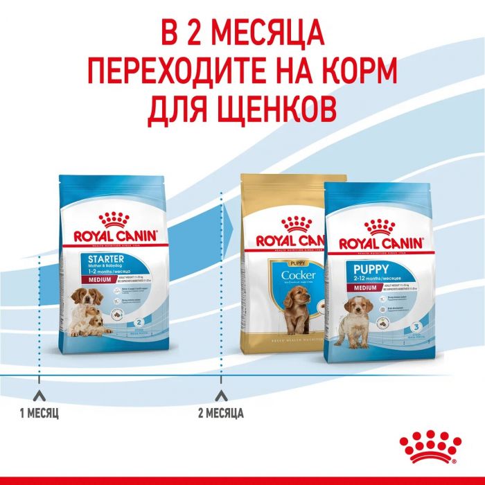 Корм Royal Canin Medium Starter Mother&Babydog для сухого полнорационного для щенков средних размеров в период отъема и до 2 месяцев, для беременных и кормящих сук. 4 кг