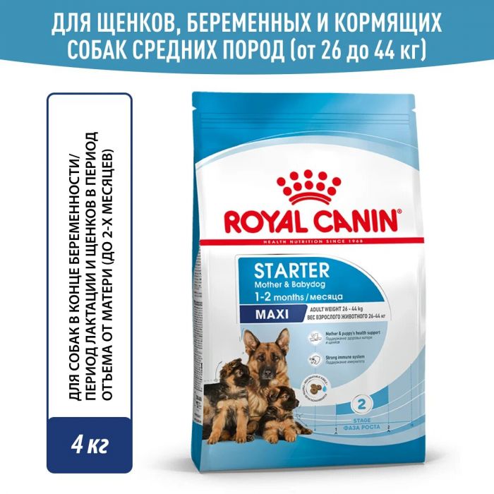 Корм Royal Canin Maxi Starter для щенков крупных пород до 2-х месяцев, беременных и кормящих сук  4 кг