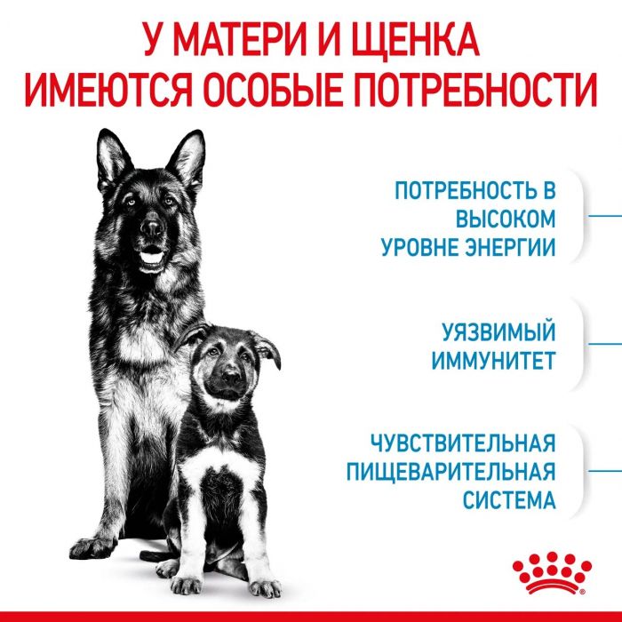 Корм Royal Canin Maxi Starter для щенков крупных пород до 2-х месяцев, беременных и кормящих сук  4 кг