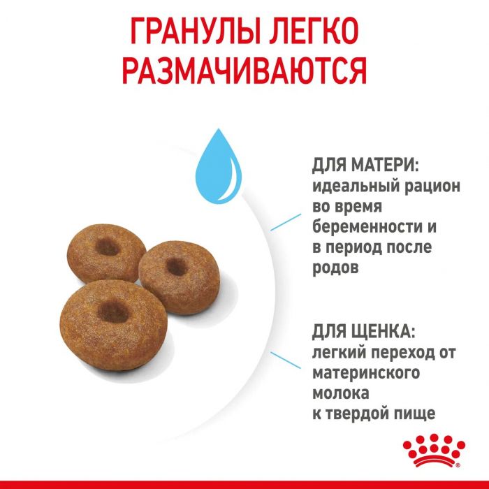 Корм Royal Canin Maxi Starter для щенков крупных пород до 2-х месяцев, беременных и кормящих сук  4 кг