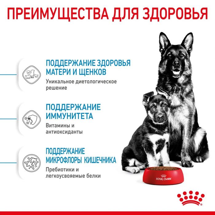 Корм Royal Canin Maxi Starter для щенков крупных пород до 2-х месяцев, беременных и кормящих сук  4 кг