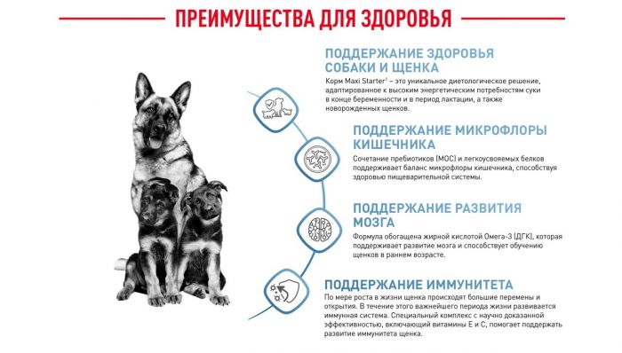 Корм Royal Canin Maxi Starter для щенков крупных пород до 2-х месяцев, беременных и кормящих сук  15 кг