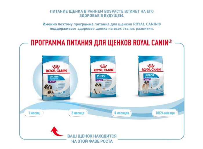 Корм Royal Canin Giant Starter для щенков гигантских пород до 2-х месяцев, беременных и кормящих сук  15 кг