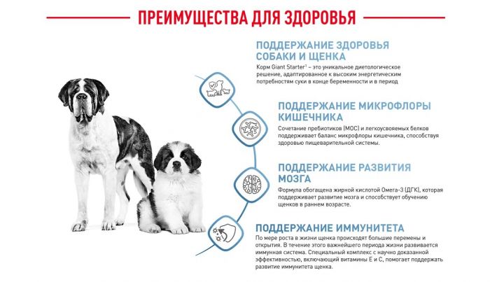 Корм Royal Canin Giant Starter для щенков гигантских пород до 2-х месяцев, беременных и кормящих сук  15 кг