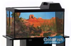 Террариум Голдфиш 40л (53*31*25,8) с черной крышкой и диод.лампой Тер40F Е14 чер Террариум Голдфиш 40л (53*31*25,8) с черной крышкой и диод.лампой Тер40F Е14 чер