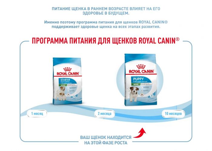 Корм Royal Canin Mini Puppy сухой полнорационный для щенков мелких пород (вес взрослой собаки до 10 кг) в возрасте до 10 месяцев  4 кг