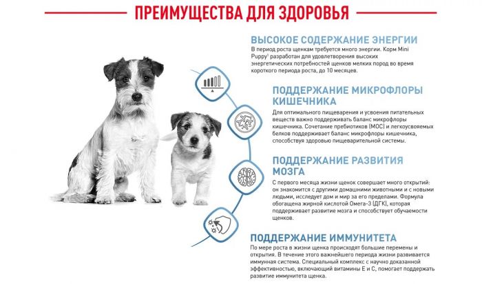 Корм Royal Canin Mini Puppy сухой полнорационный для щенков мелких пород (вес взрослой собаки до 10 кг) в возрасте до 10 месяцев  4 кг