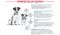 Корм Royal Canin Mini Puppy сухой полнорационный для щенков мелких пород (вес взрослой собаки до 10 кг) в возрасте до 10 месяцев  0,8 кг