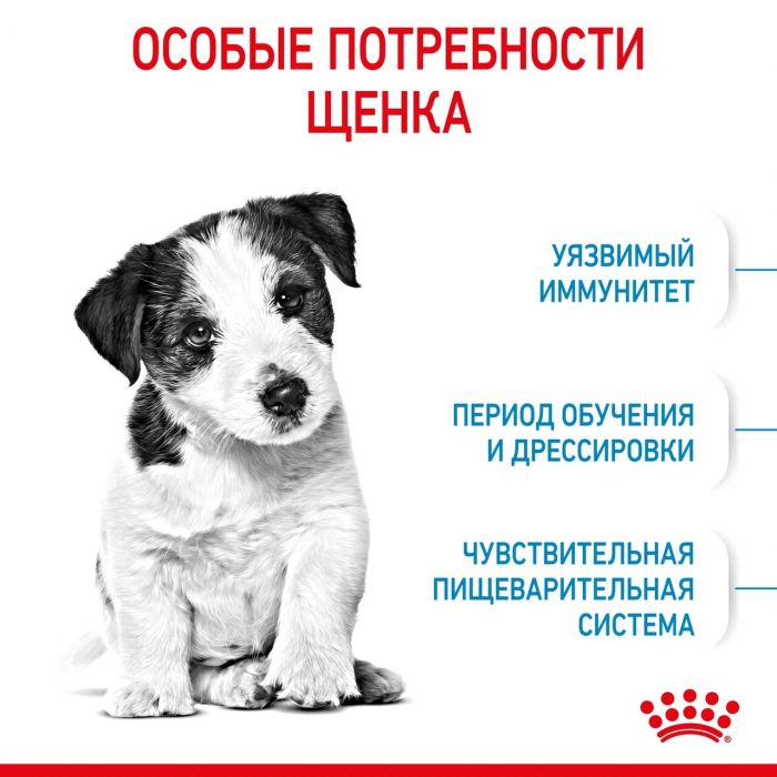 Корм Royal Canin Mini Puppy сухой полнорационный для щенков мелких пород (вес взрослой собаки до 10 кг) в возрасте до 10 месяцев  4 кг