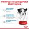 Корм Royal Canin Mini Puppy сухой полнорационный для щенков мелких пород (вес взрослой собаки до 10 кг) в возрасте до 10 месяцев  0,8 кг