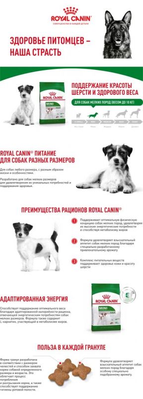 Royal Canin Mini Adult Корм ​​сухой для взрослых собак небольших размеров от 10 месяцев  8 кг