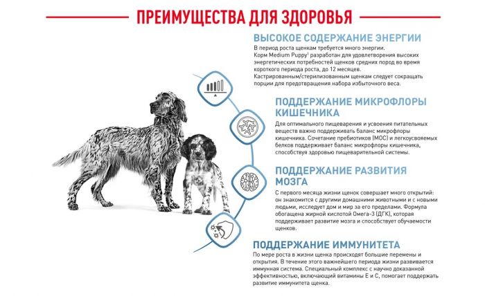 Royal Canin Medium Puppy Корм ​​сухой для щенков средних размеров до 12 месяцев 14 кг