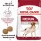 Корм Royal Canin Medium Adult сухой для взрослых собак средних размеров от 12 месяцев до 7 лет 15 кг
