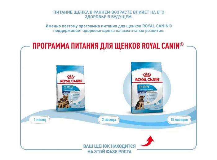 Royal Canin Maxi Puppy Корм ​​сухой для щенков крупных размеров в возрасте до 15 месяцев 15 кг