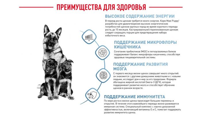 Royal Canin Maxi Puppy Корм ​​сухой для щенков крупных размеров в возрасте до 15 месяцев 15 кг