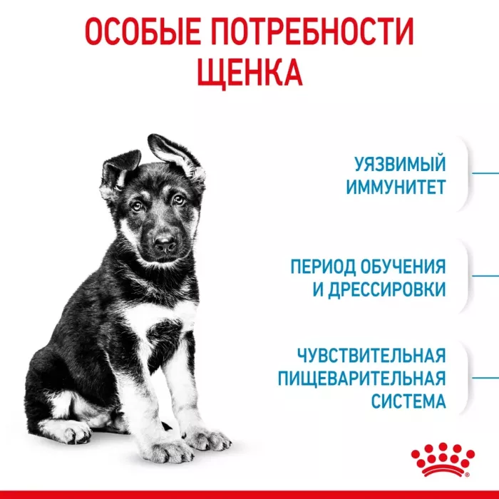 Royal Canin Maxi Puppy Корм ​​сухой для щенков крупных размеров в возрасте до 15 месяцев 15 кг