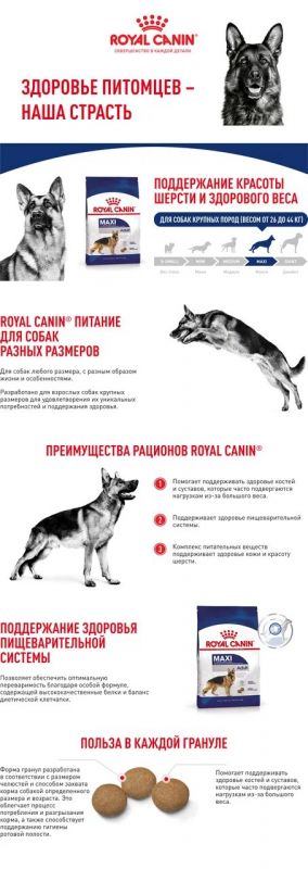 Корм Royal Canin Maxi Adult сухой для взрослых собак крупных размеров от 15 месяцев до 5 лет  15 кг