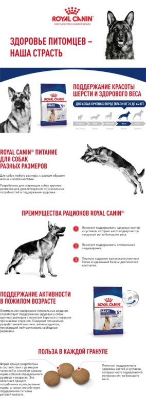 Корм Royal Canin Maxi Adult сухой для взрослых собак крупных размеров от 5 до 8 лет  4 кг