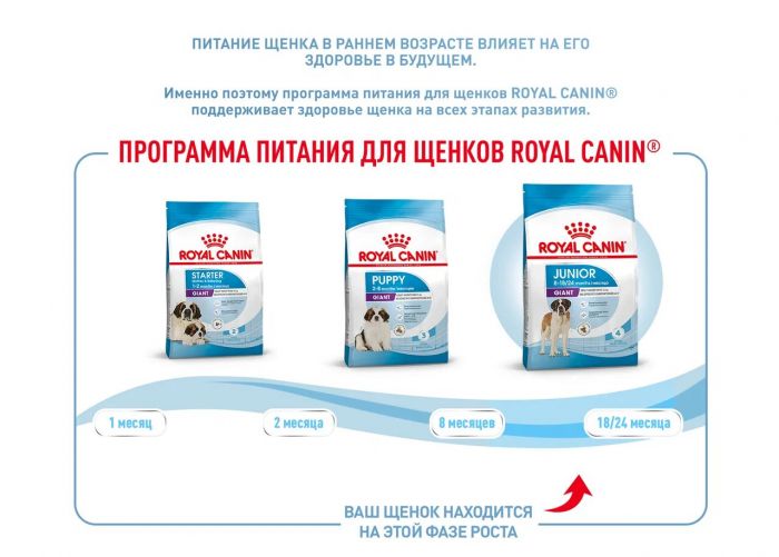  ROYAL CANIN® Giant Junior 15 кг