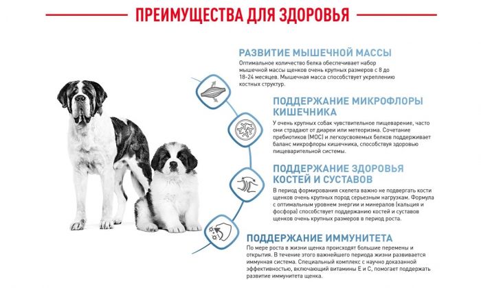  ROYAL CANIN® Giant Junior 15 кг