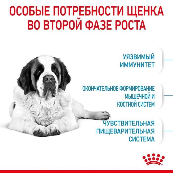  ROYAL CANIN® Giant Junior 15 кг