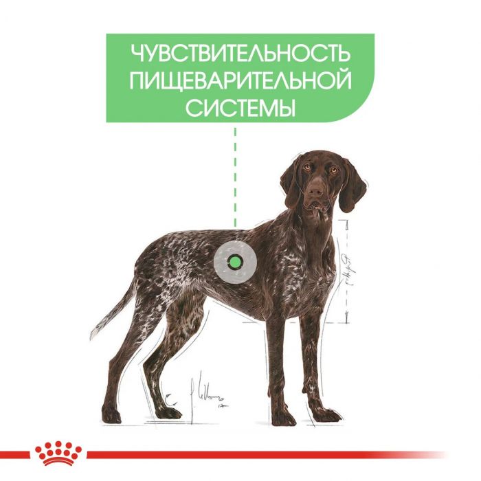 ROYAL CANIN® Digestive Care Maxi 3 кг