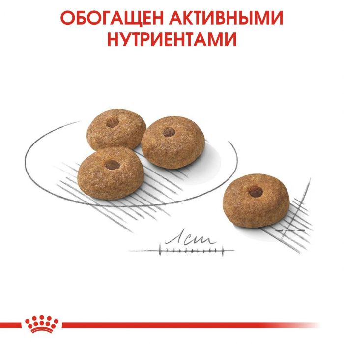 Корм Royal Canin Mini Sterilized сухой для взрослых стерилизованных собак небольших размеров, наклонных к набору веса