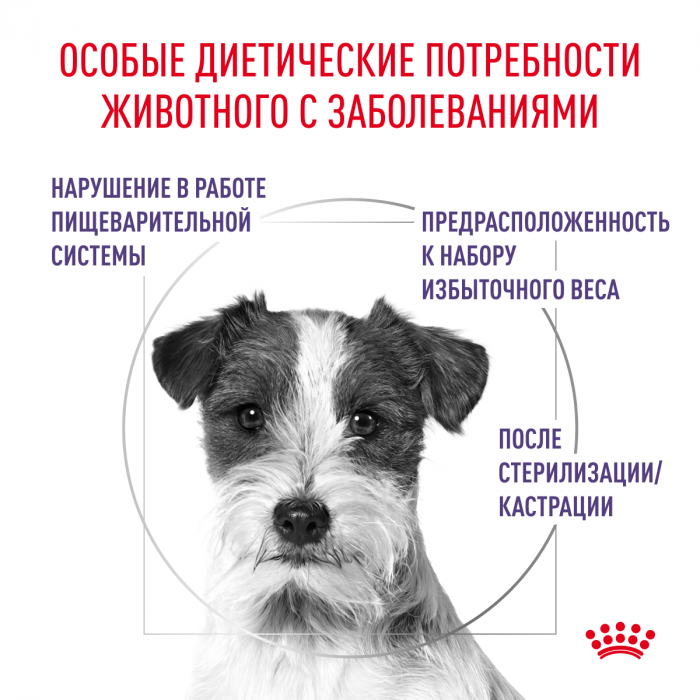 Royal Canin КАСТРАЛИРОВАННЫЕ ВЗРОСЛЫЕ МАЛЕНЬКИЕ СОБАКЫ (НЬЮТРИД ЭДАЛТ СМОЛ ДОГЗ) Корм ​​полностью сухой для стерилизованных или склонных к набору веса взрослых собак мелких пород (до 10 кг)