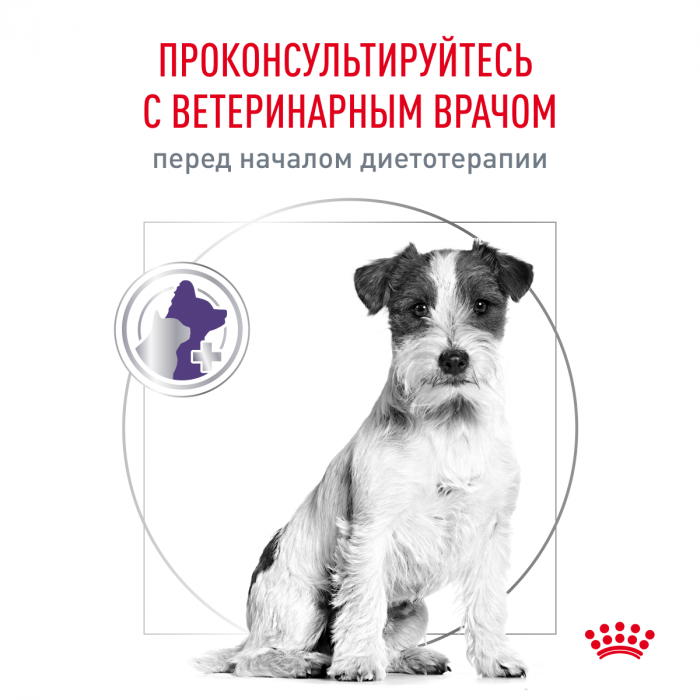 Royal Canin КАСТРАЛИРОВАННЫЕ ВЗРОСЛЫЕ МАЛЕНЬКИЕ СОБАКЫ (НЬЮТРИД ЭДАЛТ СМОЛ ДОГЗ) Корм ​​полностью сухой для стерилизованных или склонных к набору веса взрослых собак мелких пород (до 10 кг)