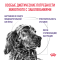 Royal Canin NEUTERED ADULT MEDIUM DOGS (НЬЮТРИД ЭДАЛТ МЕДИУМ ДОГЗ) Корм ​​сухой полнорационный для стерилизованных взрослых собак средней породы (от 11 до 25 кг) или склонных к набору веса - Старше 12 месяцев