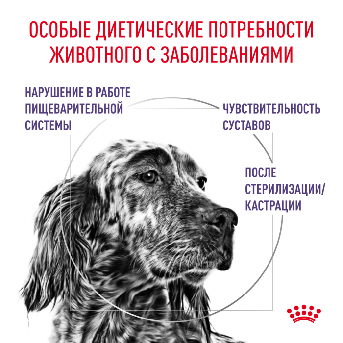 Royal Canin NEUTERED ADULT MEDIUM DOGS (НЬЮТРИД ЭДАЛТ МЕДИУМ ДОГЗ) Корм ​​сухой полнорационный для стерилизованных взрослых собак средней породы (от 11 до 25 кг) или склонных к набору веса - Старше 12 месяцев