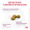 Royal Canin RENAL (РЕНАЛ) Корм ​​сухой полнорационный диетический для взрослых кошек для поддержания функций почек при острой или хронической болезни почек. Ветеринарная диета