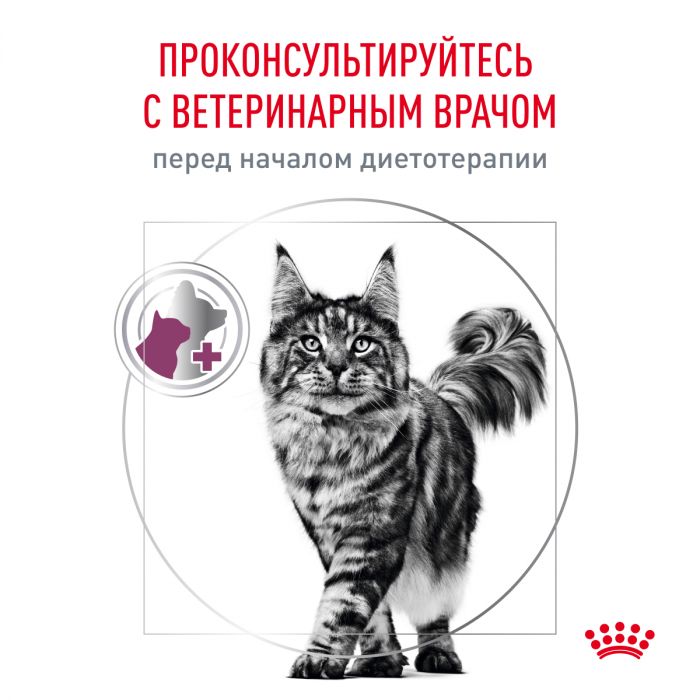 Royal Canin RENAL (РЕНАЛ) Корм ​​сухой полнорационный диетический для взрослых кошек для поддержания функций почек при острой или хронической болезни почек. Ветеринарная диета