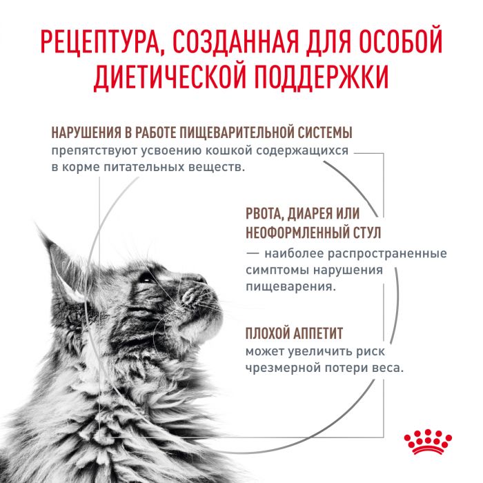 Royal Canin GASTROINTESTINAL (ГАСТРОИНТЕСТИНАЛ) Корм ​​сухой полнорационный диетический для взрослых кошек, применяется при тяжелых расстройствах пищеварения, в реабилитационный период и при истощении. Ветеринарная диета