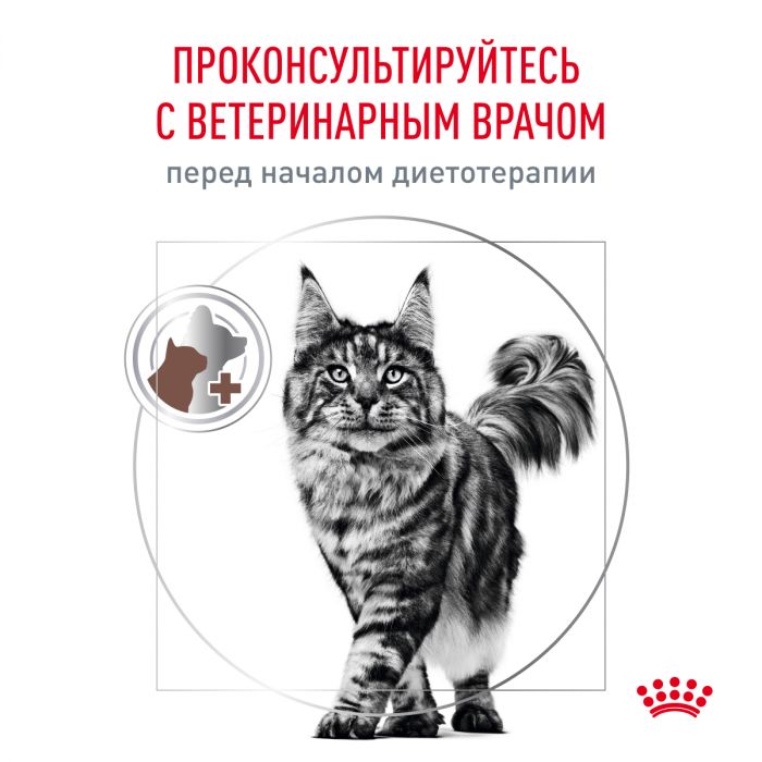 Royal Canin GASTROINTESTINAL (ГАСТРОИНТЕСТИНАЛ) Корм ​​сухой полнорационный диетический для взрослых кошек, применяется при тяжелых расстройствах пищеварения, в реабилитационный период и при истощении. Ветеринарная диета