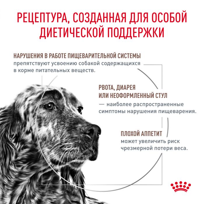 Royal Canin GASTROINTESTINAL (ГАСТРОИНТЕСТИНАЛ) Корм ​​сухой полнорационный диетический для взрослых собак при расстройствах пищеварения. Ветеринарная диета.