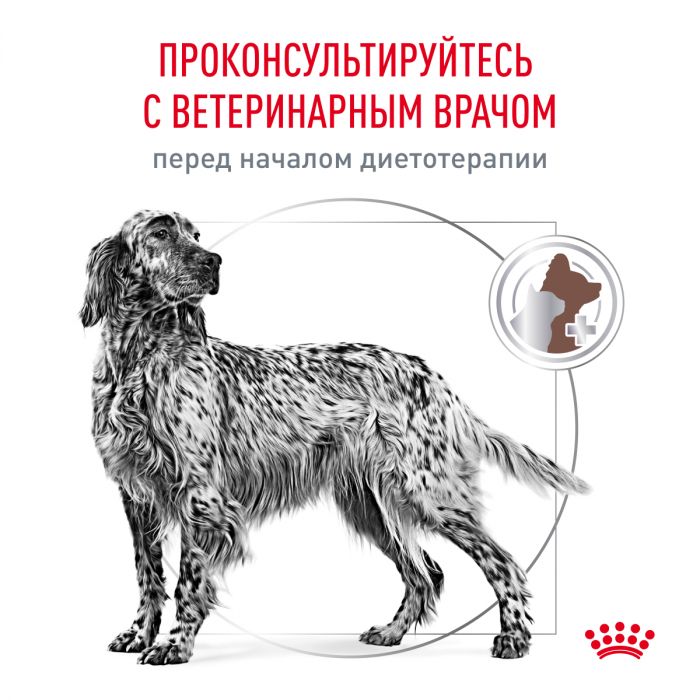 Royal Canin GASTROINTESTINAL (ГАСТРОИНТЕСТИНАЛ) Корм ​​сухой полнорационный диетический для взрослых собак при расстройствах пищеварения. Ветеринарная диета.