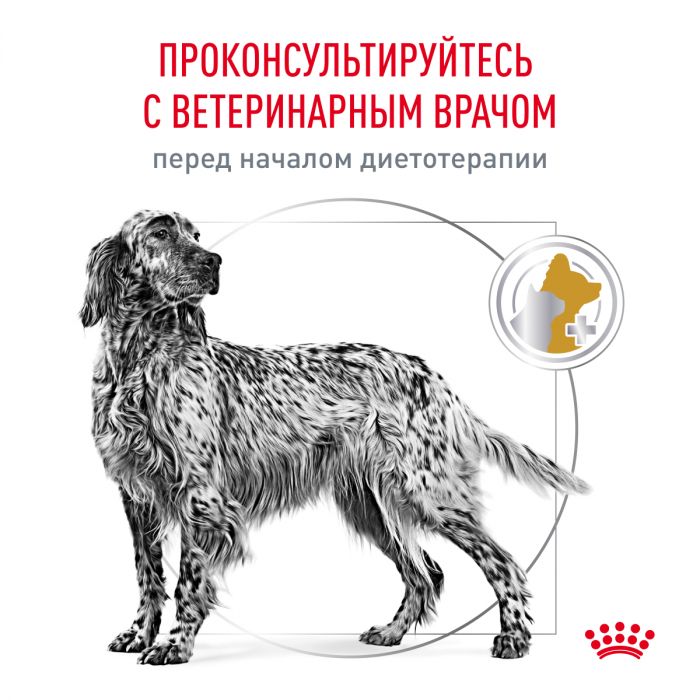 Royal Canin URINARY S/O (УРИНАРИ С/О) для взрослых собак при посещении мочекаменной болезни (струвиты, оксалаты). Ветеринарная диета.