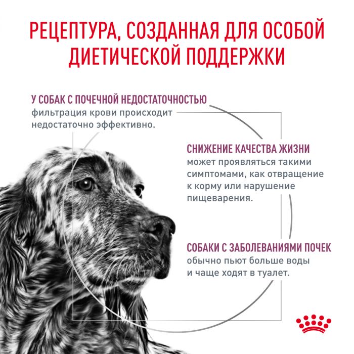 Royal Canin RENAL (РЕНАЛ) Корм ​​сухой полнорационный диетический для взрослых собак для поддержания функций почек при острой или хронической болезни почек. Ветеринарная диета